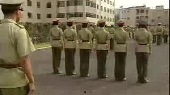 红十字方队,人道主义精神的守护者