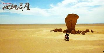 心跳戈壁,心跳戈壁，徒步穿越的生死之旅