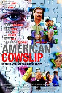 美国樱草,春日里的浪漫使者