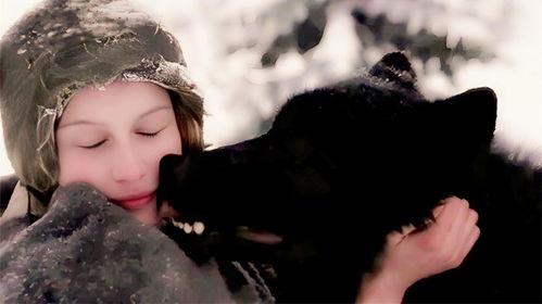 少女与狼,禁忌之恋的奇幻之旅